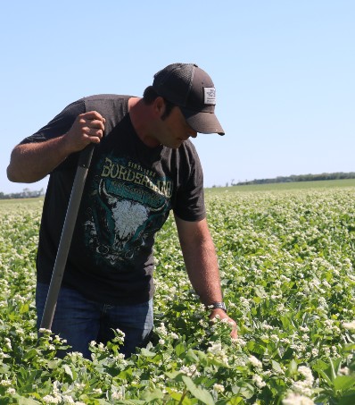 Farmer in field