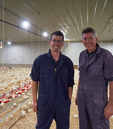 Farmers in chicken barn