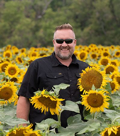Farmer in field of sunflowers