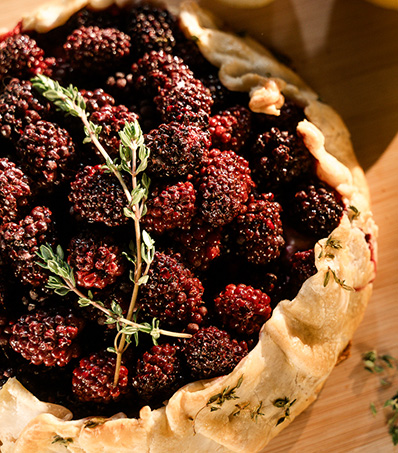 Blackberry Thyme Galette